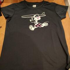 スポーツウェア　ジム着　上下セットの画像