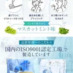 ⭐️ホワイトニング　殺菌　口臭対策　虫歯　歯周炎予防　歯磨き　歯ブラシ⭐️の画像