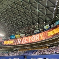 ☆ドラゴンズの試合を一緒に観に行ける友達募集(主に週末)☆