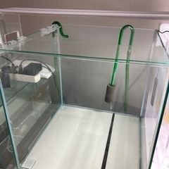 45cmキューブ水槽