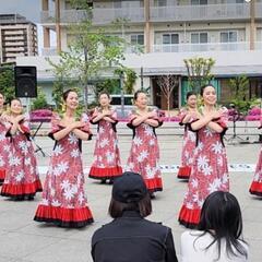 埼玉県川口市フラダンス(土)🌺入門初心者メンバー募集の画像