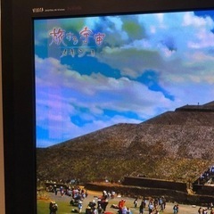 Panasonic 42型　左端に液晶割れあり