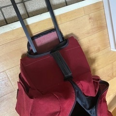 キャリアバッグ　無料　最終募集の画像