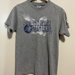 フルーツボディ　アメリカンイーグル　tシャツ