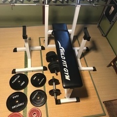 ワイルドフィットネス　ベンチプレス