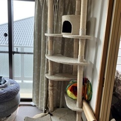 天井突っ張り式のキャットタワー（相手と問い合わせ中）の画像