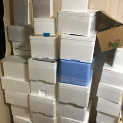 保冷　発泡スチロール箱　観賞魚発送用　保冷ボックス