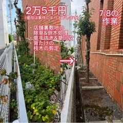草刈りします！させてください！滋賀県から行ける所まで