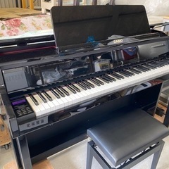 超お薦め品‼️最高峰グレード‼️ 木製鍵盤 カシオ  × C.BECHSTEIN共同開発電子ピアノ GP-1000 2020年