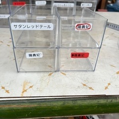透明ケースの画像