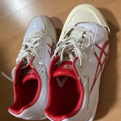 スパイク21.5センチ