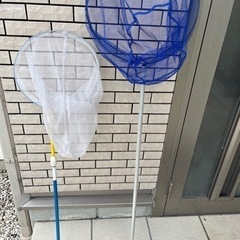 虫取り網