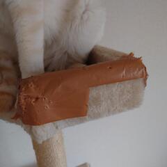 （取引中　受付中止）あげます　キャットタワー　取りに来てくれる人のみの画像