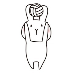 9人制バレーボールメンバー募集！