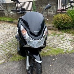【完売】HONDA PCX（低走行 美品!!）