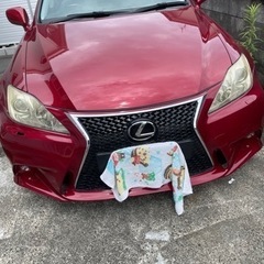 個人出品ですの画像