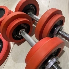 iROTEC ダンベル　20kg x 2 （40kg）の画像