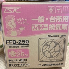 25cm一般換気扇
