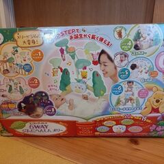 プーさん　6WAYジムにへんしんメリー