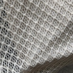 レースロングスカートの画像