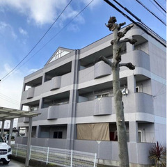🎉仲介手数料無料🎉岐阜バス/島消防署前 歩5分✨岐阜市✨1LDK...