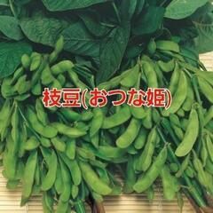 売り切れ❌よよ様　②枝豆【おつな姫】1袋400g強入り✕2‼1袋...