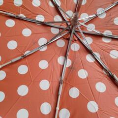 晴雨兼用傘の画像