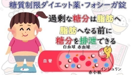 ダイエットサプリ