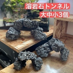 溶岩石　トンネル　大中小3個　アクアリウム
