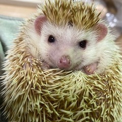 広島県内で。の画像