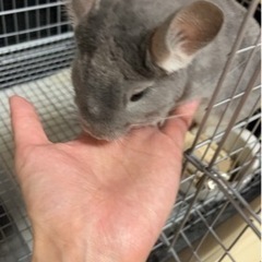 広島県内で。 − 広島県