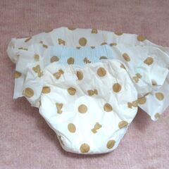 中型犬用おむつ14枚　の画像