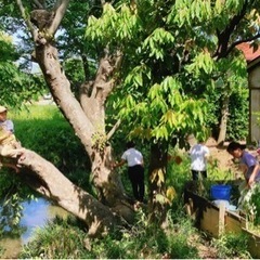 【伊勢原・平塚】ヘンプ味噌づくり＆大地と繋がり五感を整えるWS - イベント