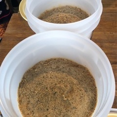 【伊勢原・平塚】ヘンプ味噌づくり＆大地と繋がり五感を整えるWS - ワークショップ