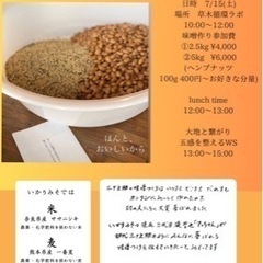 【伊勢原・平塚】ヘンプ味噌づくり＆大地と繋がり五感を整えるWS - 平塚市