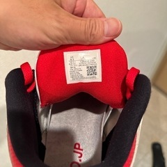 エアジョーダン3 レトロSE TOKYO(大幅値引き)の画像