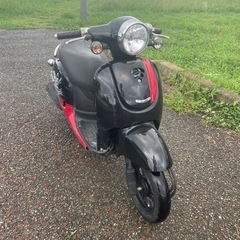 【実働確認済み】AF70 ジョルノ 実走行18460km