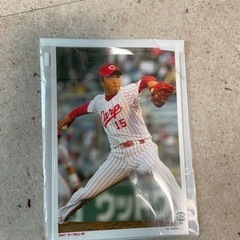 2007年カープ𝑨𝑳𝑳 𝑰𝑵ポストカードの画像