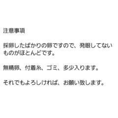 夜桜ゴールドXの卵 100個+αの画像