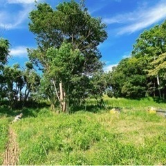 【平塚・伊勢原】自然農法シェア会・大豆種まき＆じゃがいも収穫 - イベント