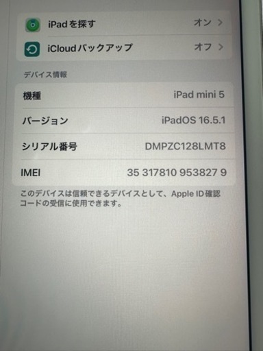 ドコモ iPadmini5 64GB