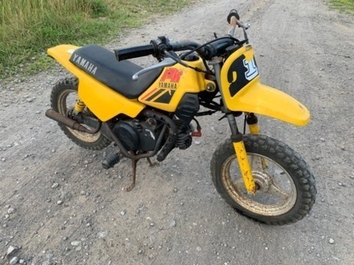 ＰＷ５０　お子様にどうですか？