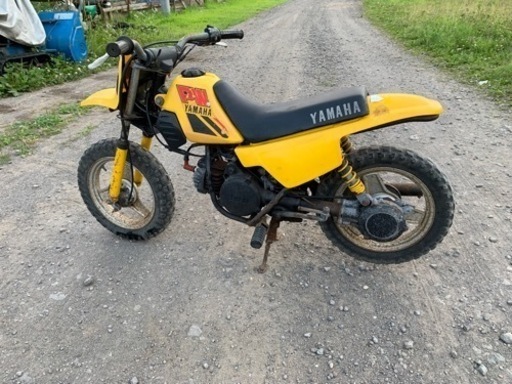 ＰＷ５０　お子様にどうですか？