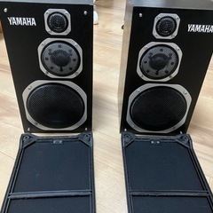 NS-1000MM