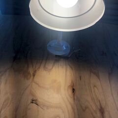 ☆彡レトロな照明器具・投光器・外灯・店舗照明・LED電球付き!!!別に２台あり!!!の画像