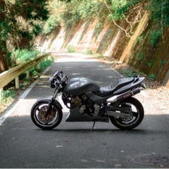 ホーネット250