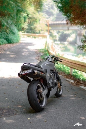 ホーネット250