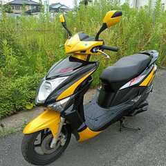 ホンダ　モジェット125　低走行！美車！