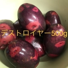 珍しい！じゃがいもデストロイヤー500g