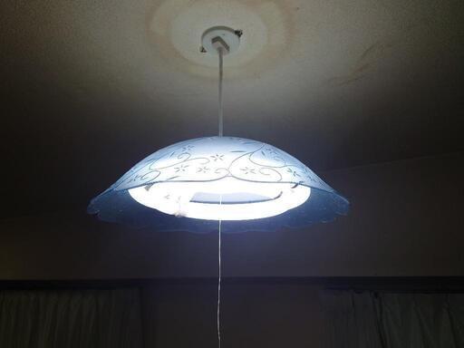 天井用電灯